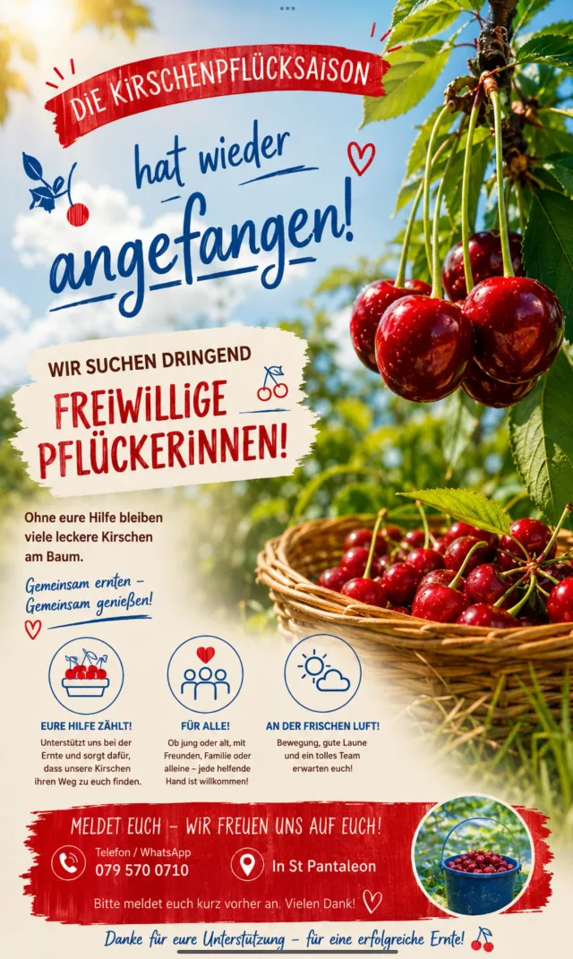 Frewillig(e) - Zusammen Kirschen Pflücken